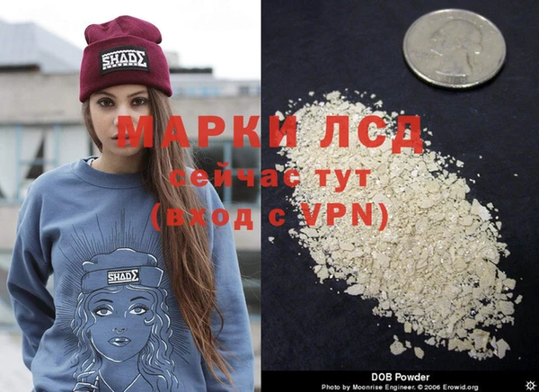 mdma Бородино